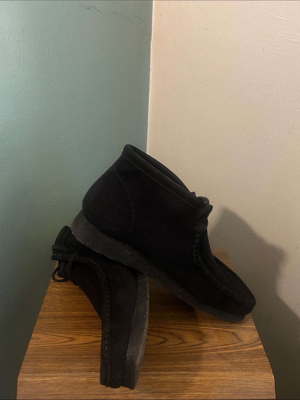 Clarks wallaby - Picture 5 of 5